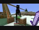 【夫婦で】 仕事と家事とマインクラフト～Part20～【実況】