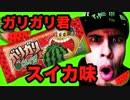 新発売！ガリガリ君スイカ！一気食いして外国人が大惨事！