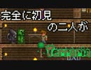 [実況]　完全に初見の二人がテラリア　part40