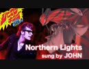 【カラオケ】林原めぐみ Northern lights【外国人が歌ってみた】