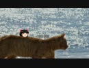 【心霊ちょっといい話part1】その16　四十九日