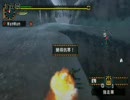 【MHP2】火事場 双剣 VS 上位 ティガレックス