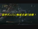 【Bloodborne】 聖杯ダンジョン触媒全盛り攻略 Part４ 【実況プレイ】
