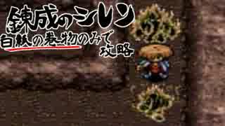 ｢白紙の巻物｣しか使わない錬成術師　【風来のシレン】実況　Part8