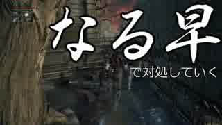 【二人で実況】仮にも狩人生活　part4後編【ブラッドボーン】