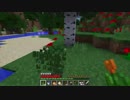 すごく平凡なマイクラ生活を過ごしたいのに〜！！　パート10