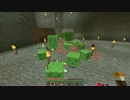 【Minecraft】 マップ一枚岩盤整地するマインクラフト【実況】　part８