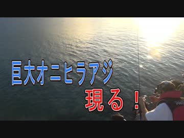 【超巨大魚】沖縄の海のギャング！オニヒラアジを追え！【大物】