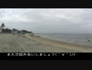 【ソロツー】南知多半島