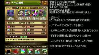 弱小無課金【金曜ダンジョン】超地獄級　2対無育成ドラパ　パズドラ