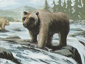 灰色熊の冒険　第５話