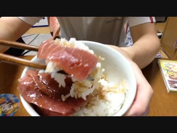 【飯テロ注意！】中トロ丼を作った