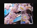2015年03月17日 アキバから、どっかいこー Part 04
