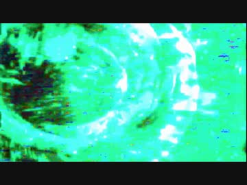 ダッチワイフ／cancerous