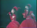 WINK　淋しい熱帯魚