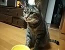 誕生日