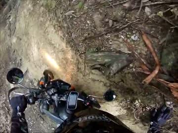 セローさん初林道を走る