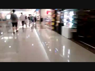 シャムを探すオフ会参加者 k9