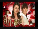 【ボタンじゃなくて】CR牡丹と薔薇【ブタよ！】