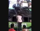 インドの日常風景