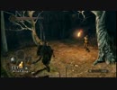 【実況】槍が好き。ダークソウル２ part22