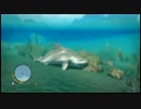 【farcry3】ファークライ３で英語の勉強。難易度最ムズ【プレイ動画】015