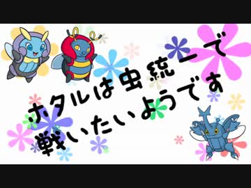 【ポケモンORAS】ホタルは虫統一で戦いたいようです【ヘラクロス】