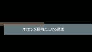 LUNATIC FESTに触発されたオッサンがLUNA SEA弾いてみた。