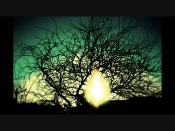 a vein / 初音ミク