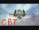 ドラゴンズドグマオンラインβ キャラクリ男性編