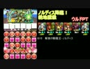 【パズドラ】ウルドでノルディス降臨！絶地獄級にいってみた。
