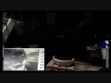 黒助が来た！(2015.07.07)