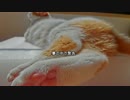 【心霊ちょっといい話part1】その20　夢の中で警告