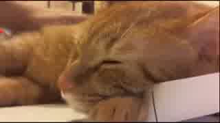 2015.07.04　神聖かまってちゃん　mono　雑談配信