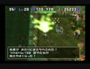 トルネコ3　ポポロ　マイナーモンスターズ　異世界編F　その23