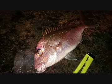 釣り場の開拓という楽しい時間つらい時間