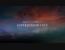 ～SUPERJUNIORとELFの物語～