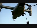 【米海兵隊】オスプレイからのロープ降下訓練【V-22 Osprey】