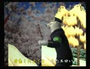 くまうた　（3875）「今年の水着二」　唄：嵐山クマ男（夫)