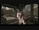 【Skyrim】スカイリム地味プレイ#29【字幕】