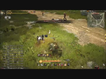 黒い砂漠　ＰＫ４（狩場荒らし）