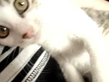 きょうのさばさばだばー
