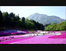 【FZ6】　百花繚乱、秩父お花見ツーリング　【GW】