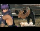 【DOA5LR】バースの対戦動画18【PS4】