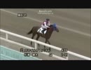 （転載）2015年7月8日 園田競馬 3Ｒスマイルプロバイド