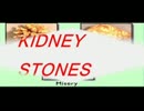 AYUR-SUDHA : bodysolutions-cholestrols,kidney stones,jointpain