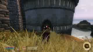 【OBLIVION】ミニマム勇者の冒険記番外編 ICoSRその５