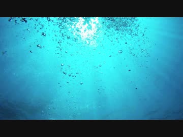 【NNI】( ˇωˇっ)3 - RadioEdit【SAKANACORE】