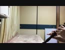 実は私はOP『ひみつをちょーだい』をリコーダーで吹いてみた