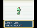 【萌えもん】変態獣医師がポケモン擬人化に手を出したそうですPart6